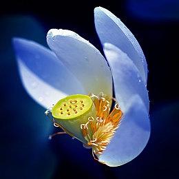 《千变的迷宫 风来的希炼6》新系统情报公开 明年1月发售